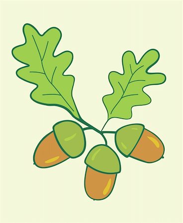 three acorns with leaves - vector illustration Stock Photo - Budget Royalty-Free & Subscription, Code: 400-04268681