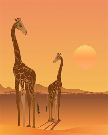 a illustration of two giraffe in a hot african landscape with a setting sun Stock Photo - Budget Royalty-Free & Subscription, Code: 400-04268837