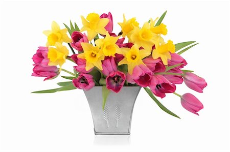 simsearch:400-06356460,k - Pink tulips and daffodil flowers in a distressed aluminum vase, isolated over white background. Foto de stock - Super Valor sin royalties y Suscripción, Código: 400-04269156
