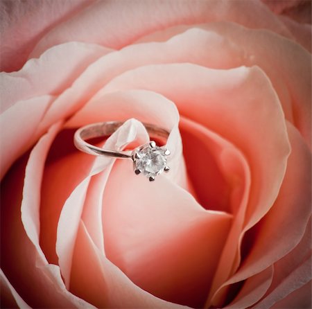 simsearch:400-05244104,k - Close-up of pink rose with diamond ring Stock Photo - Budget Royalty-Free & Subscription, Code: 400-04269349