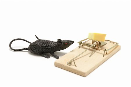 simsearch:400-03992981,k - Toy mouse and trap on white background Stock Photo - Budget Royalty-Free & Subscription, Code: 400-04269567