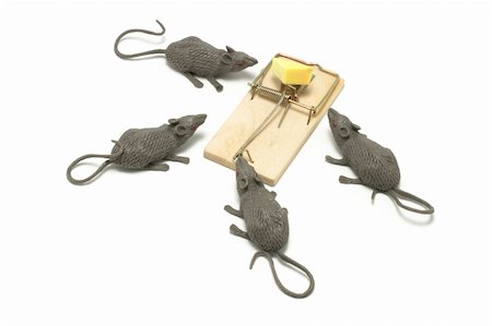 simsearch:400-03992981,k - Toy mice and trap on white background Stock Photo - Budget Royalty-Free & Subscription, Code: 400-04269568