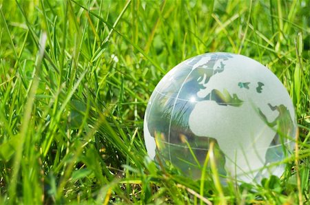 simsearch:400-05716348,k - glass globe or earth in green grass showing eco concept with copyspace Foto de stock - Super Valor sin royalties y Suscripción, Código: 400-04269971