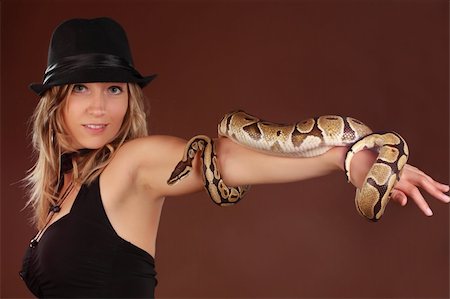 pythonschlange - cute blond woman holding a Royal Python snake Stockbilder - Microstock & Abonnement, Bildnummer: 400-04260013