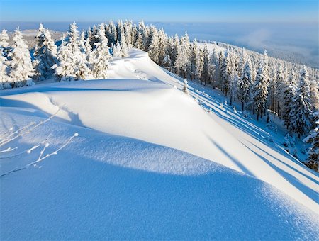 simsearch:400-04319458,k - Sunrise and winter rime and snow covered fir trees on mountainside (Carpathian Mountains, Ukraine) Stock Photo - Budget Royalty-Free & Subscription, Code: 400-04260099