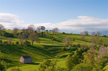 simsearch:400-04015327,k - Typical landscape in Yorkshire Dales National Park in Great Britain Stock Photo - Budget Royalty-Free & Subscription, Code: 400-04260435