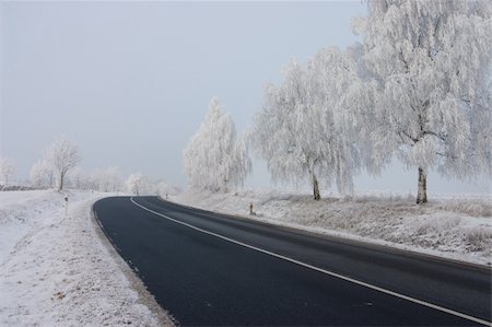 snowy road tree line - The empty road in winter Stock Photo - Budget Royalty-Free & Subscription, Code: 400-04260430