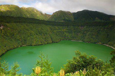 flores azores - Caldeira - lakes on the san Miguel Island , Azores, Portugal Stock Photo - Budget Royalty-Free & Subscription, Code: 400-04260737