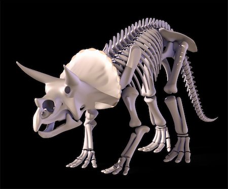 fósil - The skeleton of Triceratops. Foto de stock - Super Valor sin royalties y Suscripción, Código: 400-04260783