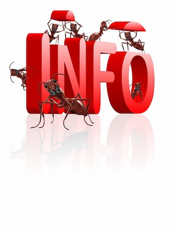 ants gathering info or information learn and educate knowledge Stock Photo - Budget Royalty-Free & Subscription, Code: 400-04260886