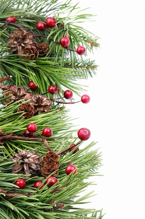 simsearch:400-04749446,k - Christmas border with cones, berries and pine branches isolated on white background. Shallow dof Foto de stock - Super Valor sin royalties y Suscripción, Código: 400-04260901