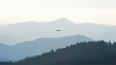 people flying symbolic - Mountain landscape with swifting eagle in the centre of view Stock Photo - Budget Royalty-Free & Subscription, Code: 400-04260974