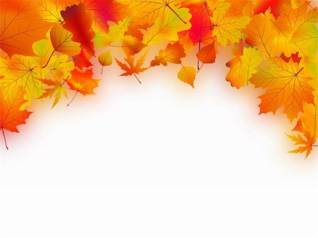 Fallen autumn leaves background. EPS 8 vector file included Photographie de stock - Aubaine LD & Abonnement, Code: 400-04260975