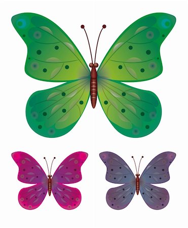 simsearch:400-08787096,k - A collection of three butterflies. Vector EPS10. Vector art in Adobe illustrator EPS format, compressed in a zip file. The different graphics are all on separate layers so they can easily be moved or edited individually. The document can be scaled to any size without loss of quality. Photographie de stock - Aubaine LD & Abonnement, Code: 400-04261440