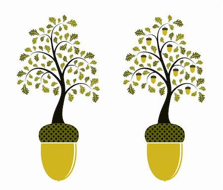 vector two versions of oak growing from acorn on white background, Adobe Illustrator 8 format Stock Photo - Budget Royalty-Free & Subscription, Code: 400-04262325