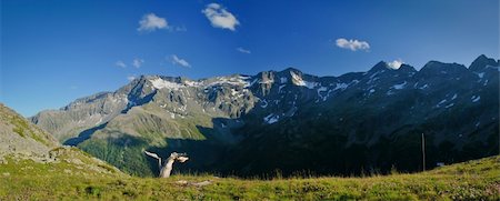 simsearch:400-05905289,k - Panoramic view of beautiful snowy mountain ridge Stock Photo - Budget Royalty-Free & Subscription, Code: 400-04263092
