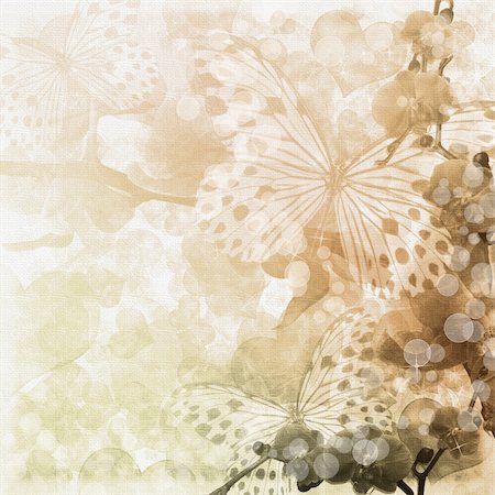 Butterflies and orchids flowers beige background ( 1 of set) Stockbilder - Microstock & Abonnement, Bildnummer: 400-04274191