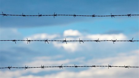 simsearch:400-08314121,k - Barbed wire against cloudy blue sky Stock Photo - Budget Royalty-Free & Subscription, Code: 400-04274502