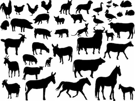 farm animals collection - vector Stock Photo - Budget Royalty-Free & Subscription, Code: 400-04274784