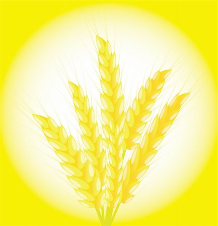 Banner of a bunch of ears of wheat on a yellow background Foto de stock - Super Valor sin royalties y Suscripción, Código: 400-04275124
