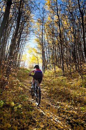 simsearch:400-04336561,k - Woman mountain biking up hill in autumn Fotografie stock - Microstock e Abbonamento, Codice: 400-04275232