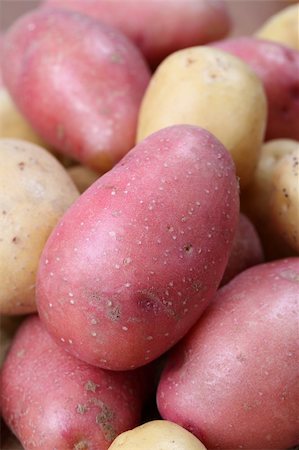 simsearch:400-04709478,k - Red and white organic potatoes. Shallow dof Foto de stock - Super Valor sin royalties y Suscripción, Código: 400-04275323