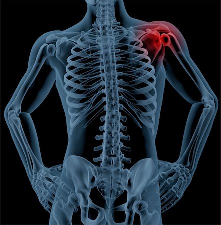 simsearch:400-06568234,k - 3D render of a medical skeleton with the shoulder joint highlighted Stock Photo - Budget Royalty-Free & Subscription, Code: 400-04276285