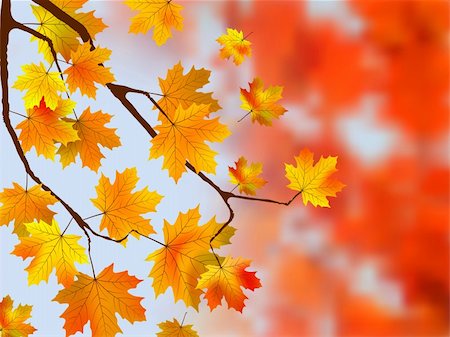 Autumn, sunny maple leaves, autumnal ornament. EPS 8 vector file included Stock Photo - Budget Royalty-Free & Subscription, Code: 400-04276774