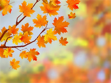 Colorful autumn leaves background. EPS 8 vector file included Stock Photo - Budget Royalty-Free & Subscription, Code: 400-04276778