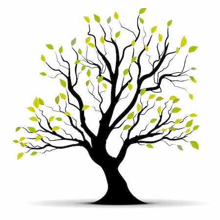 simsearch:400-05704843,k - Green vector tree over white background Stockbilder - Microstock & Abonnement, Bildnummer: 400-04277023