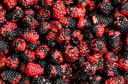 simsearch:400-04243170,k - Lots of berries arranged at the background Stock Photo - Budget Royalty-Free & Subscription, Code: 400-04277099