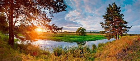 russian autumn - Summer panorama with river and pine-tree on sunset Stock Photo - Budget Royalty-Free & Subscription, Code: 400-04277277