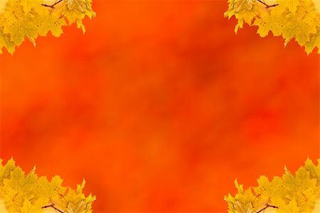 simsearch:400-06424752,k - Autumn maple leaves empty frame with space for text Foto de stock - Super Valor sin royalties y Suscripción, Código: 400-04277561