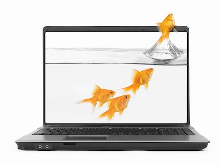 simsearch:6113-06626095,k - goldfish jumping out of the notebook, isolated on white Stock Photo - Budget Royalty-Free & Subscription, Code: 400-04277881