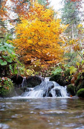 A small stream in the Carpathian Mountains in autumn Stock Photo - Budget Royalty-Free & Subscription, Code: 400-04278314