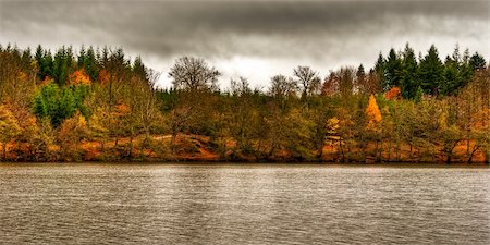 view of far lake shore in autumn Stock Photo - Budget Royalty-Free & Subscription, Code: 400-04278422