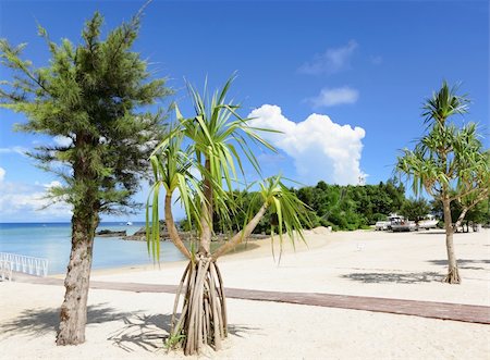 simsearch:859-03036472,k - beach of okinawa Stock Photo - Budget Royalty-Free & Subscription, Code: 400-04278695