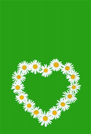 Daisy in love shape over green background Foto de stock - Super Valor sin royalties y Suscripción, Código: 400-04279601