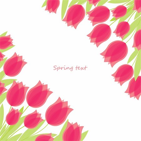 Colourful Spring flowers background. Vector illustration Stock Photo - Budget Royalty-Free & Subscription, Code: 400-04270095
