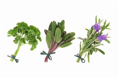 sage blossom - Parsley, sage and lavender flower herb leaf sprigs tied in bunches, isolated over white background. Stock Photo - Budget Royalty-Free & Subscription, Code: 400-04270272