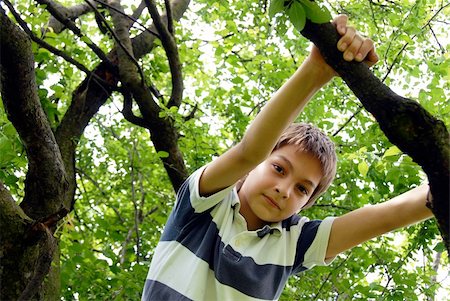 slim child - caucasian cute boy portrait on tree outdoor Stock Photo - Budget Royalty-Free & Subscription, Code: 400-04271942
