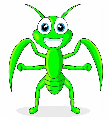 vector illustration of a cute praying mantis. No gradient Stock Photo - Budget Royalty-Free & Subscription, Code: 400-04272877