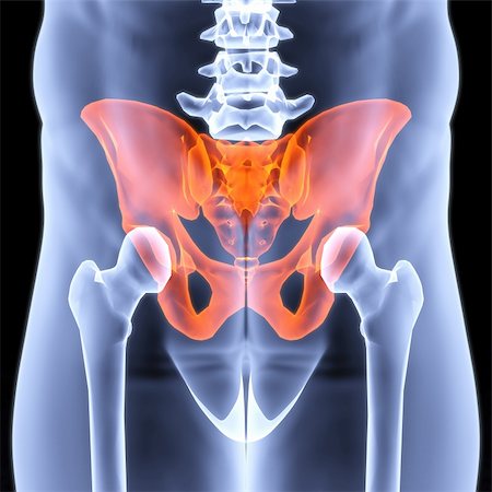 male pelvis under the X-rays. pelvis is highlighted in red. Stock Photo - Budget Royalty-Free & Subscription, Code: 400-04272884