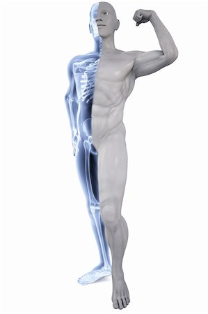 strong bones - man's body under X-rays. with clipping path. Photographie de stock - Aubaine LD & Abonnement, Code: 400-04272942