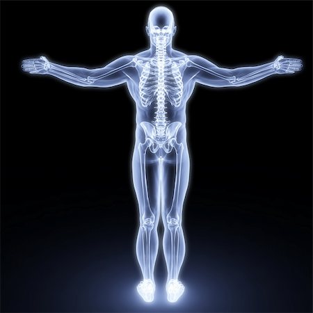 simsearch:400-04003518,k - human body by X-rays. 3d render Fotografie stock - Microstock e Abbonamento, Codice: 400-04272967