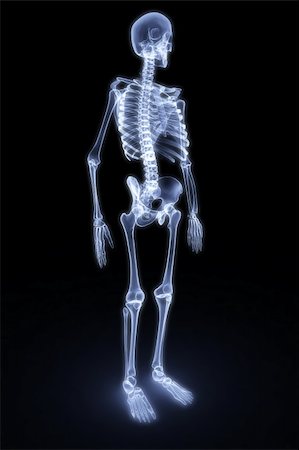simsearch:400-04391285,k - human skeleton under the X-rays. 3d render Photographie de stock - Aubaine LD & Abonnement, Code: 400-04273059