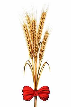 simsearch:400-08977636,k - golden spikes of wheat tied with a red satin bow. with clipping path. Stock Photo - Budget Royalty-Free & Subscription, Code: 400-04273084