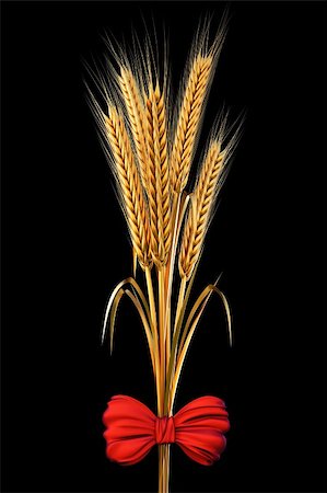simsearch:400-08977636,k - golden spikes of wheat tied with a red satin bow. with clipping path. Stock Photo - Budget Royalty-Free & Subscription, Code: 400-04273083