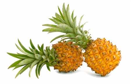 pineapple botanical - Two mini pineapples on a white background Stock Photo - Budget Royalty-Free & Subscription, Code: 400-04273098