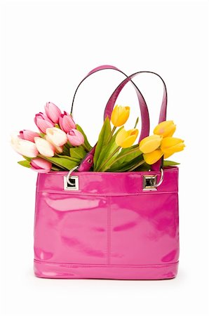 simsearch:400-04491879,k - Bag and flowers isolated on the white background Fotografie stock - Microstock e Abbonamento, Codice: 400-04273357